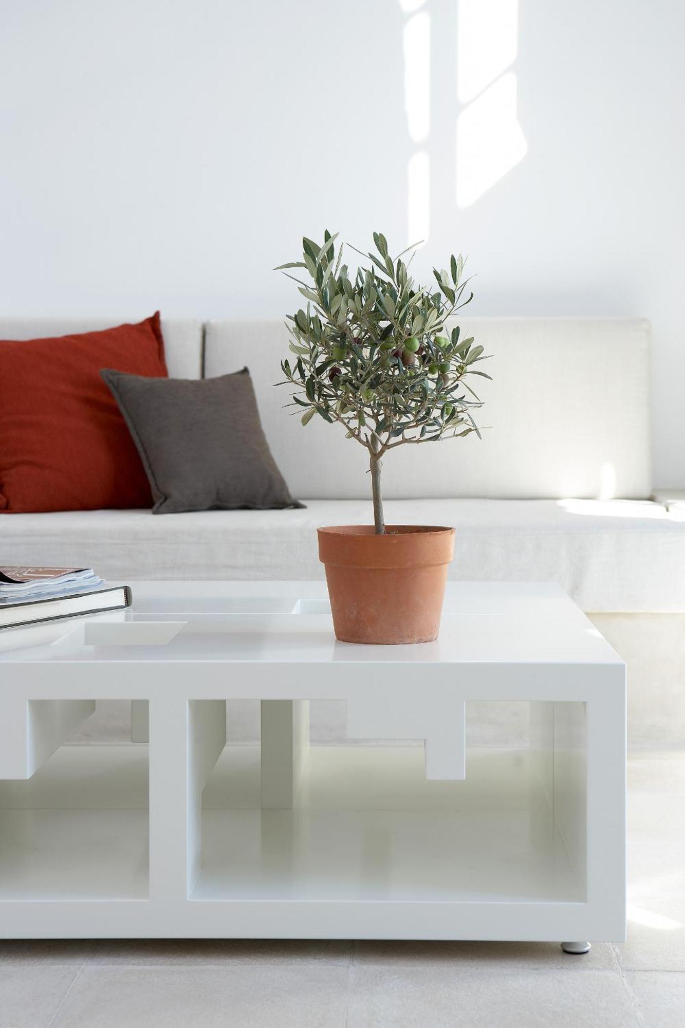 Villa Fabrica Santorini Πύργος Εξωτερικό φωτογραφία